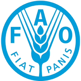ФАО в Україні